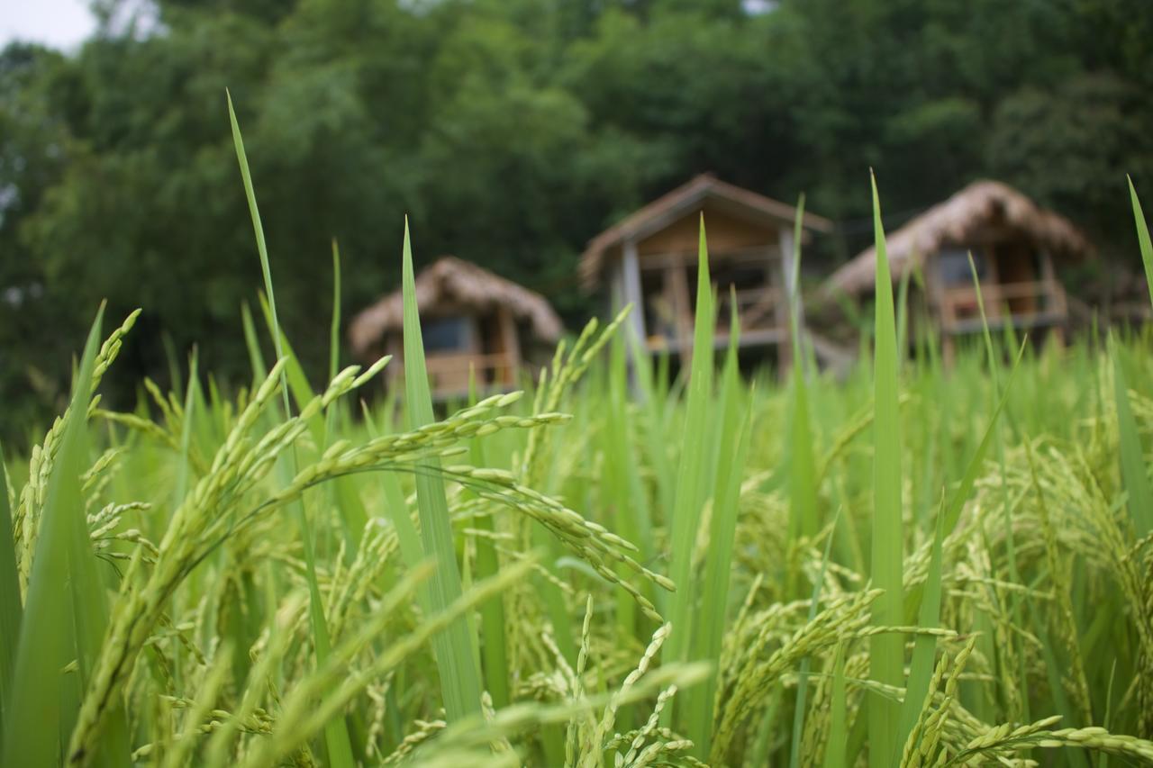 Little Mai Chau Home Stay Dış mekan fotoğraf