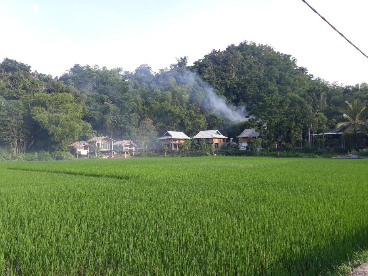 Little Mai Chau Home Stay Dış mekan fotoğraf