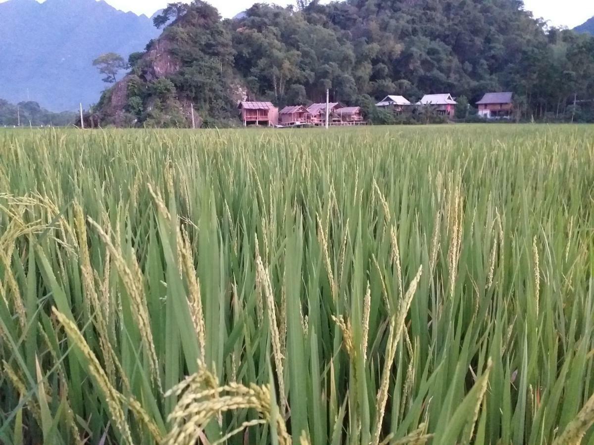 Little Mai Chau Home Stay Dış mekan fotoğraf